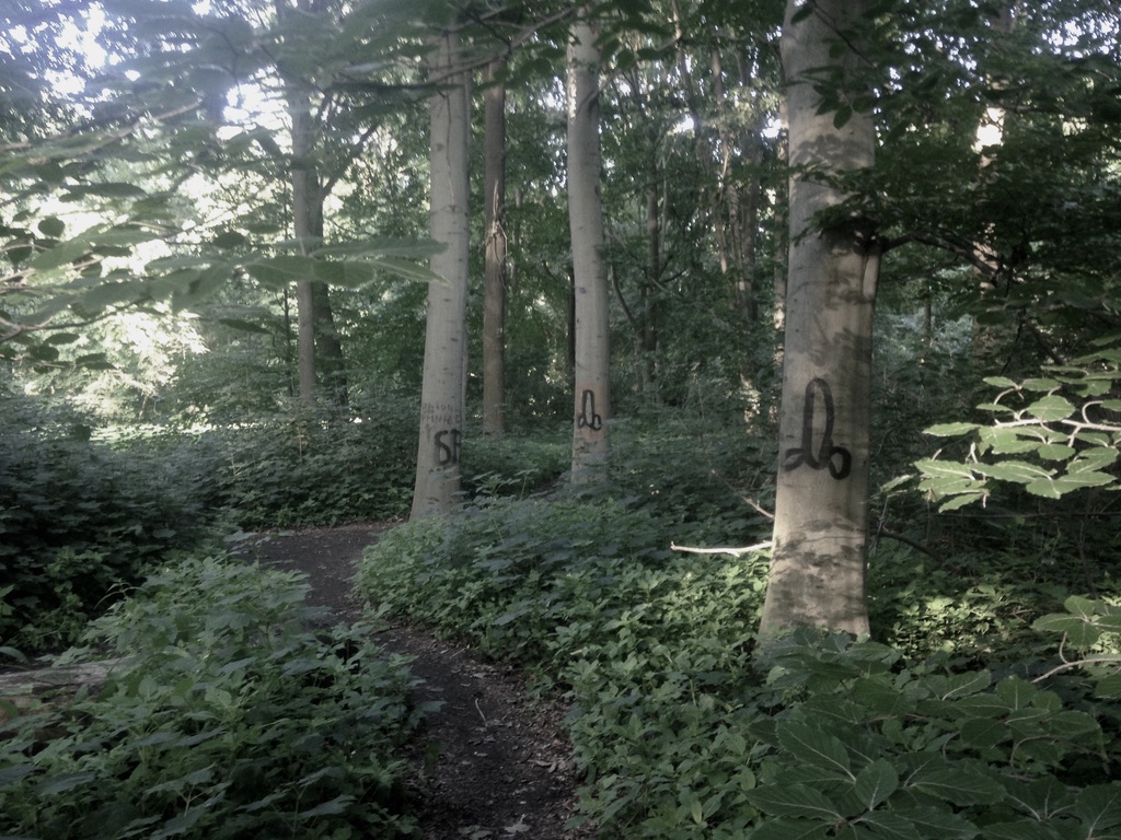 Tiergarten, Berlín, 2017. Fotografía